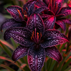 Лилейник Вояж купить по цене от 699р. в интернет-магазине «Посадика» с доставкой почтой в в Бронницые и по всей России – [изображение №1].